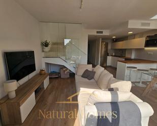 Living room of Duplex to rent in Caldes d'Estrac  with Air Conditioner, Heating and Parquet flooring