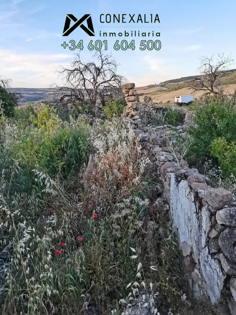 Casa rústica en venda a Setenil de las Bodegas, imagen 12