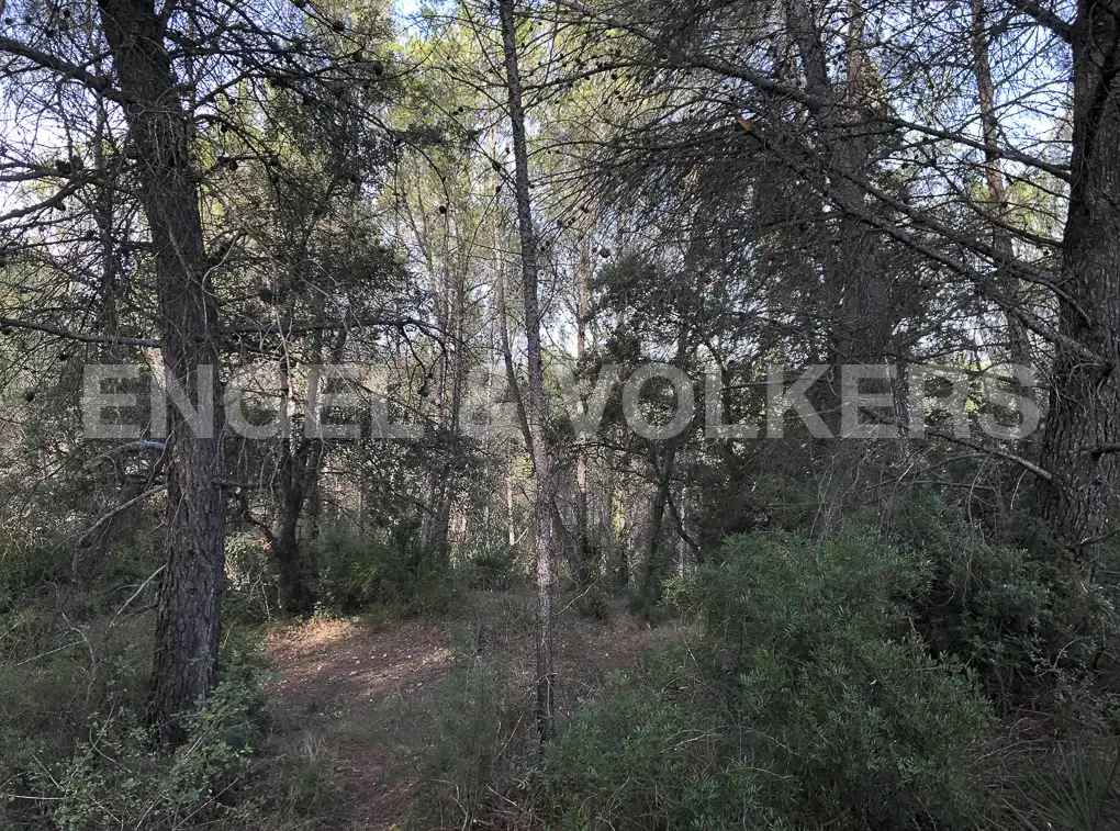 Terreny residencial en venda a Avinyonet del Penedès, imagen 10
