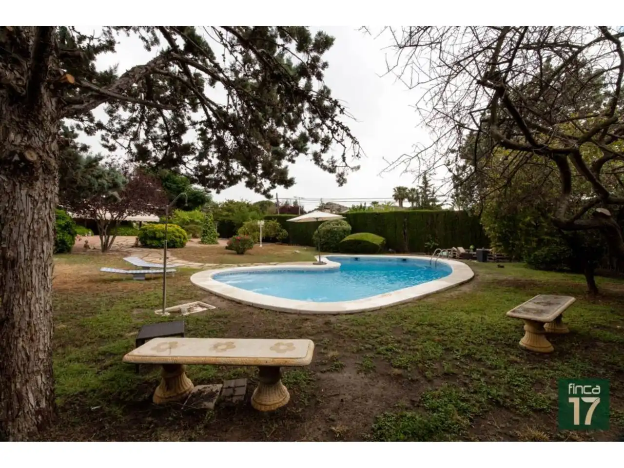 Piscina de Casa o xalet en venda en Petrer amb Calefacció, Jardí privat i Terrassa