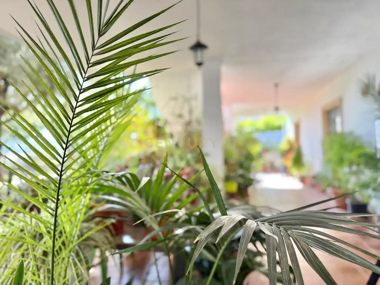 Casa amb jardí en venda a Berja, imagen 29