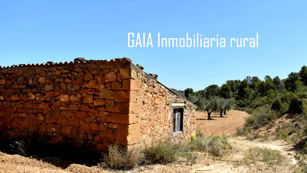 Finca rústica en venta en Mazaleón