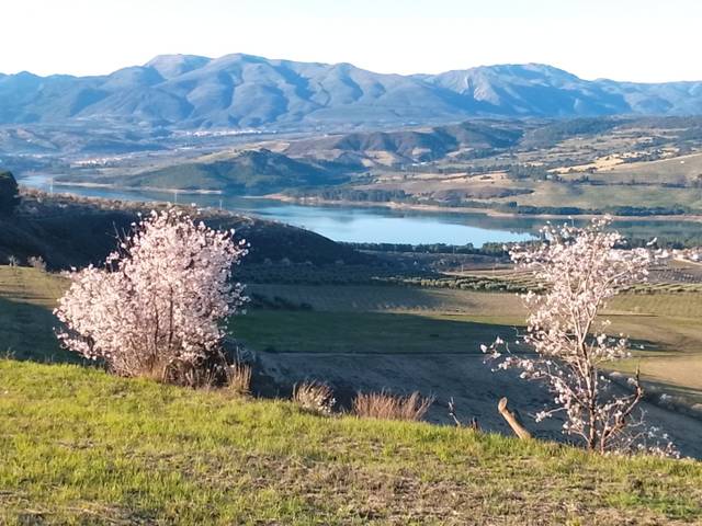 Terreno en Venta en Camino de Napoleon, 16 en Arenas del Rey