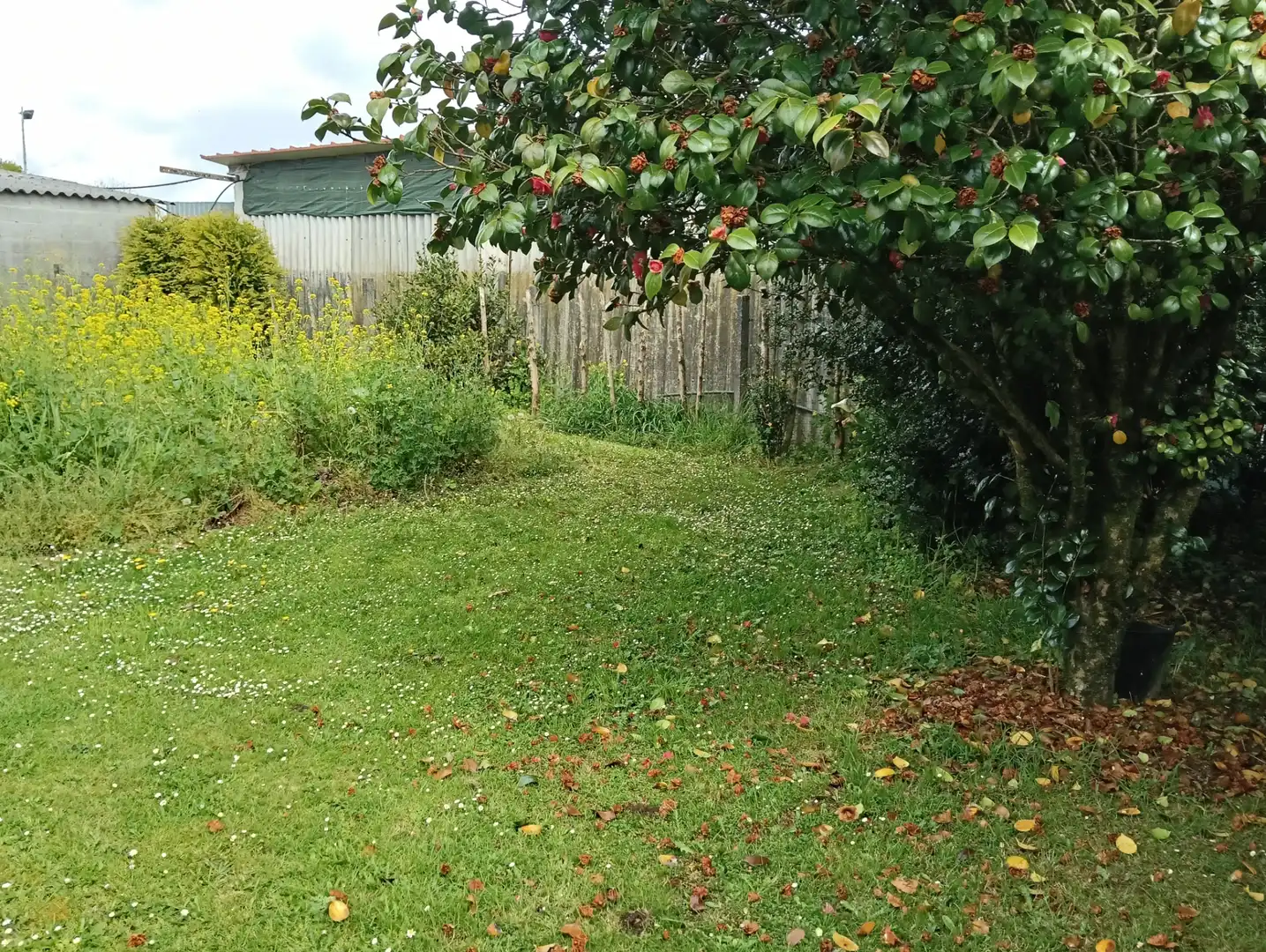 Adossat amb jardí en venda a Oza dos Ríos, imagen 10