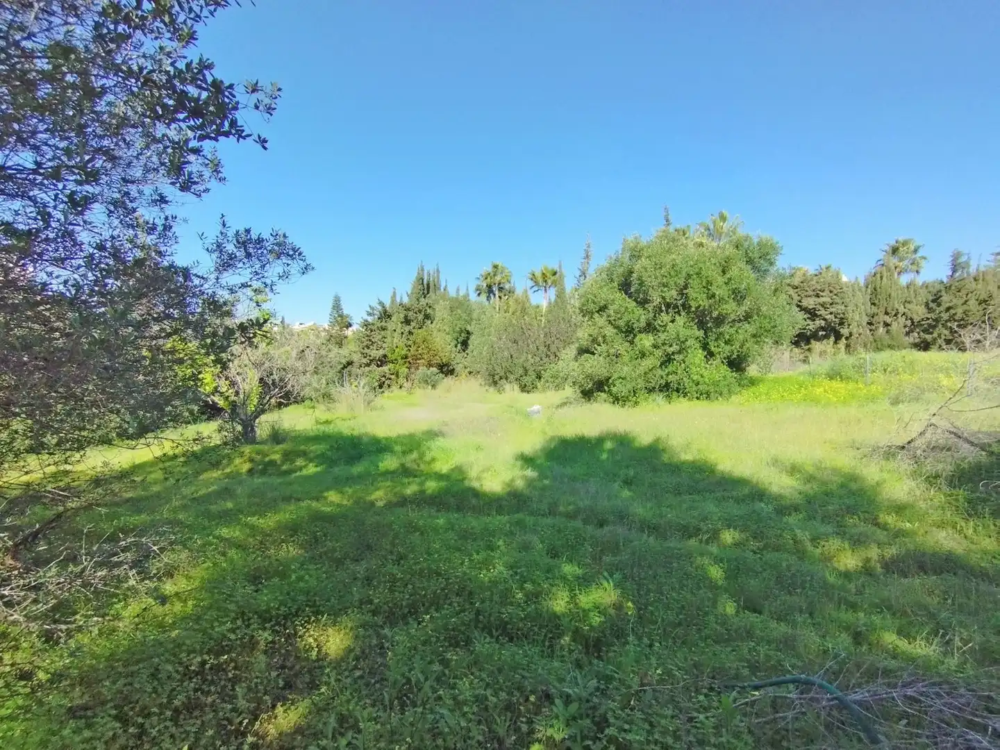 Terreni e lotti in vendita a Benamara - Atalaya, imagen 19