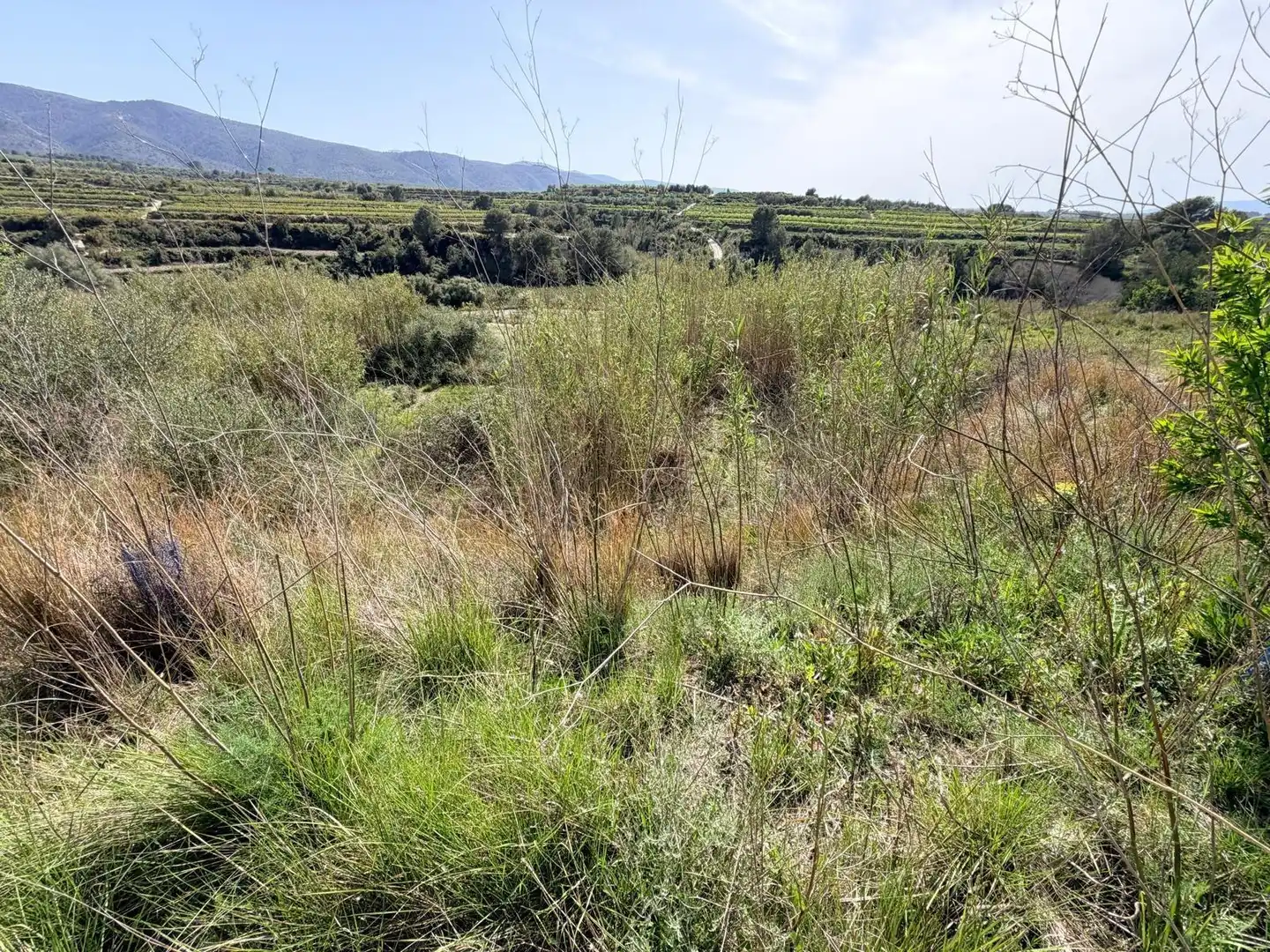 Terreny residencial en venda a Bélgida, imagen 22
