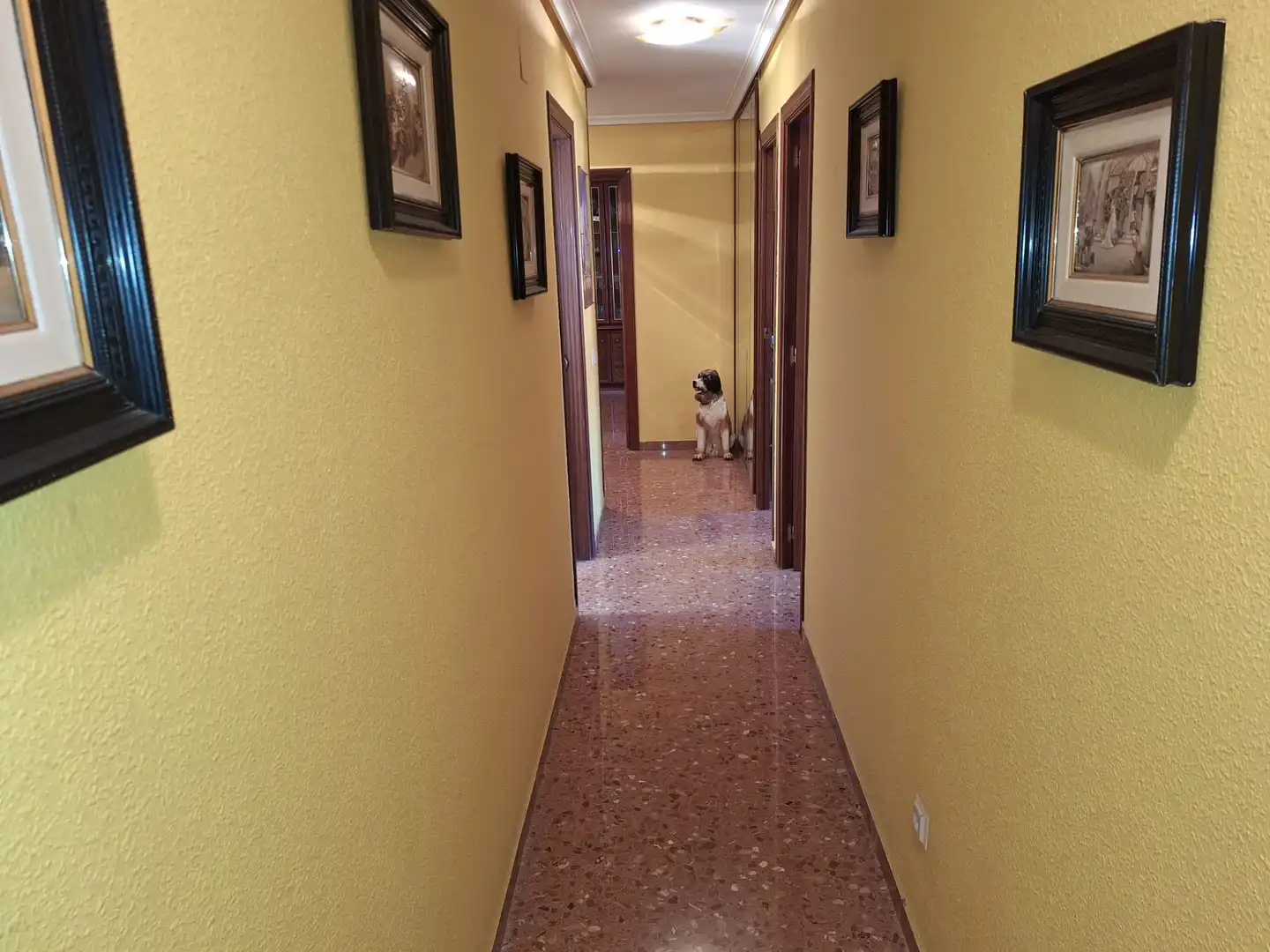 Flat with terrace for sale in Norte, imagen 26