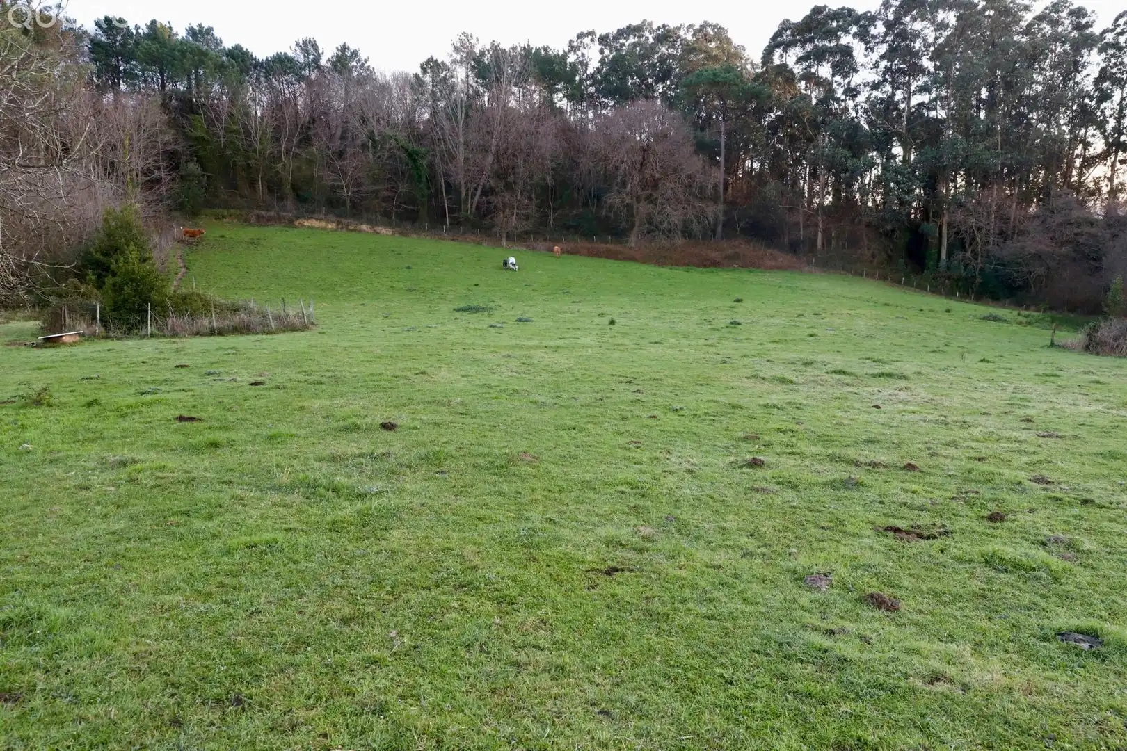 Finca rústica en venta en Berango