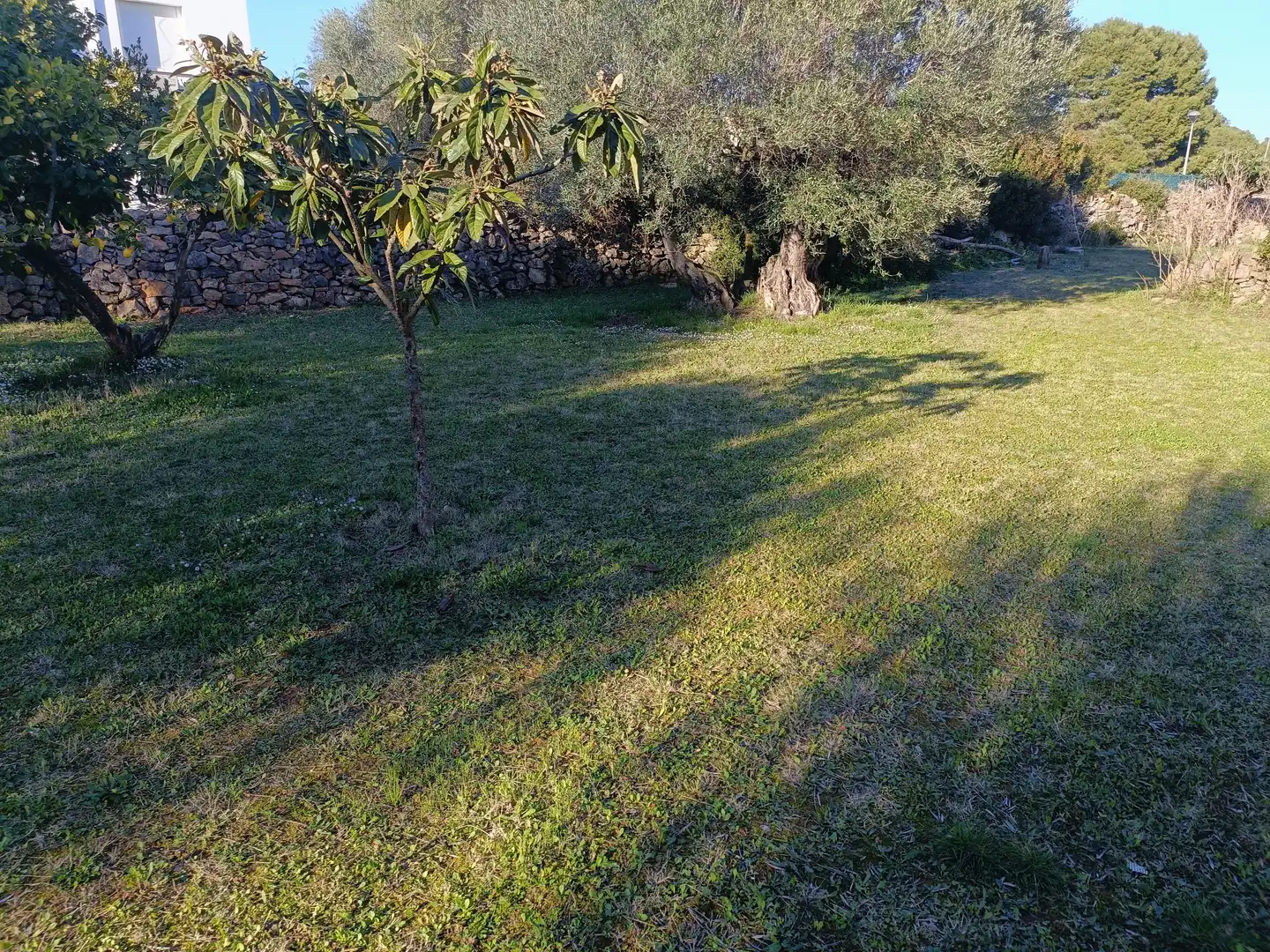 Rustikales Grundstück zum Verkauf in Calle Mirador del Codolar, imagen 7
