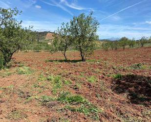 Land for sale in Almogía
