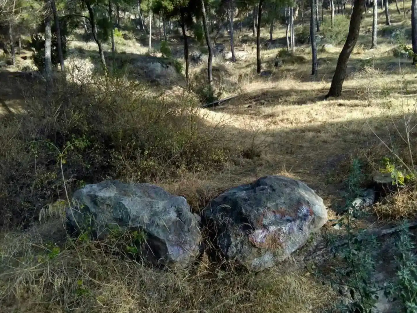 Terreno en venta en Pedanías Este