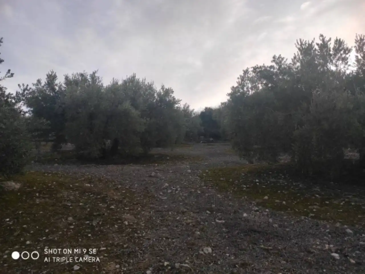 Terrain rustique à vendre à Calle TERMINO DE BAENA, imagen 2