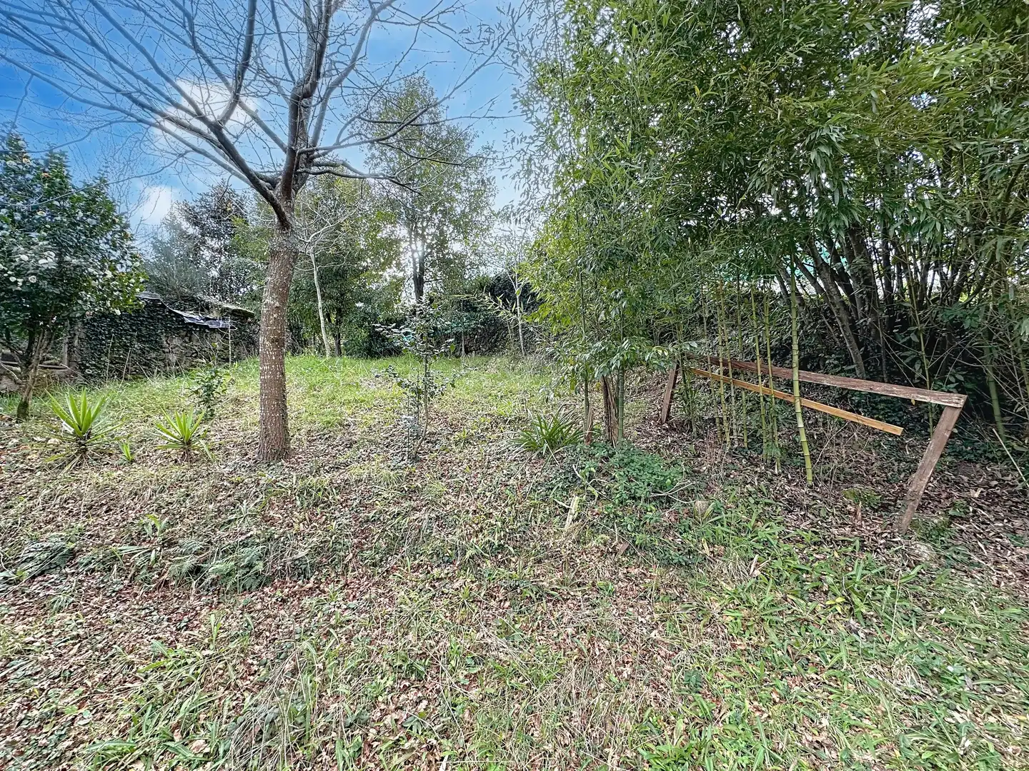 Casa o chalet en venta en Campo Lameiro