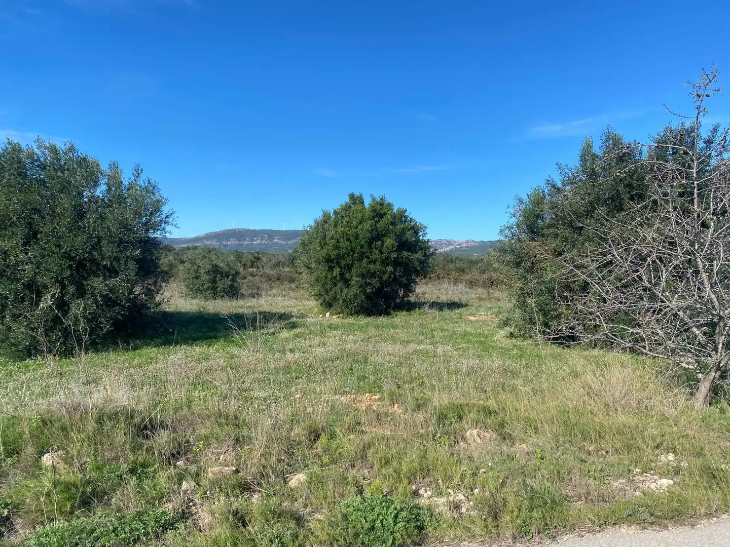 Terrain rustique à vendre à El Pont d'Armentera, imagen 16