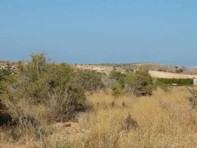 Rustikales Grundstück zum Verkauf in Los Arenales del Sol, imagen 9