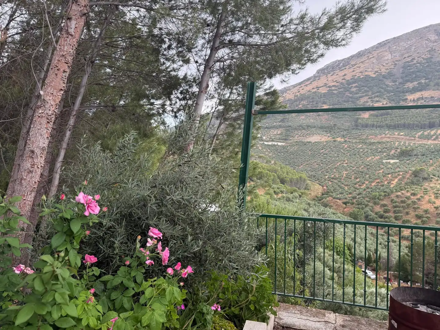 Garten von Country house zum Verkauf in Jaén mit Privatgarten, Terrasse und Schwimmbad