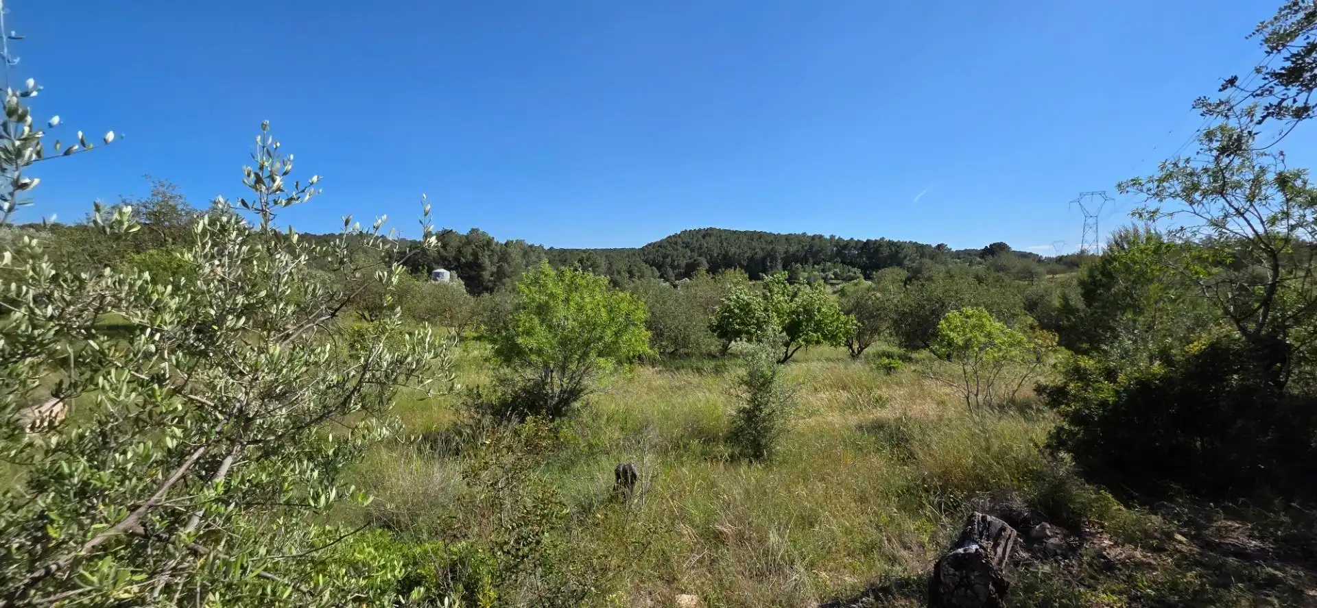 Maison rustique à vendre à Tivissa, imagen 18