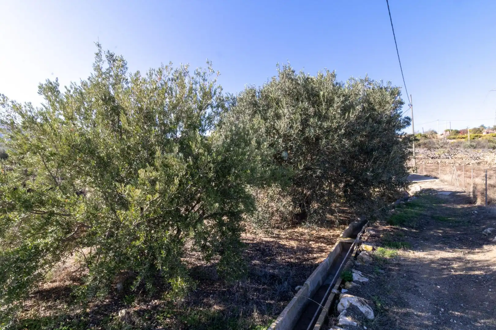 Terreno rustico in vendita a Alhama de Almería, imagen 8