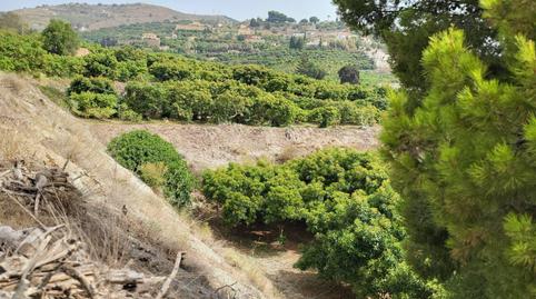 Photo 5 of Residential for sale in Motril  ciudad, Granada