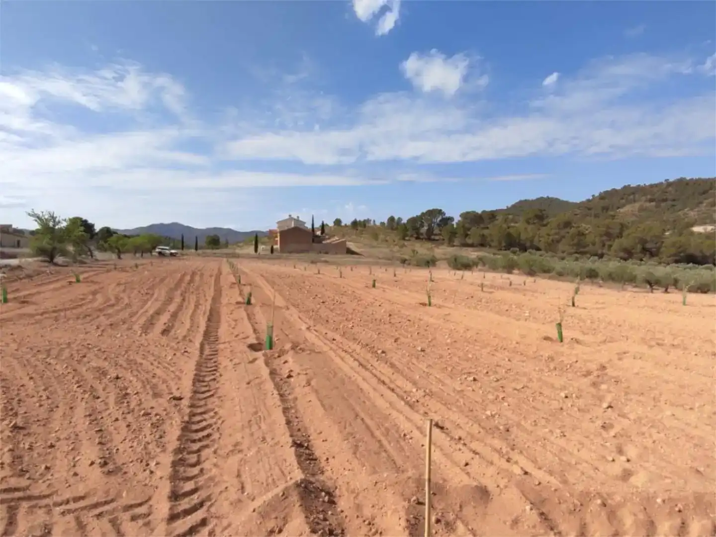 Terreno en venta en Liétor
