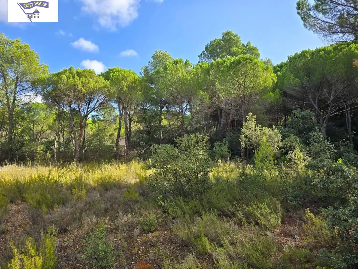Terreno rustico in vendita a Pedanías - Extrarradio, imagen 8