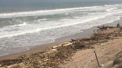 Foto 3 de Terreno en venta en Proc. Simplificado, Sn, -1, El Dossel - Mareny de San Lorenzo, Valencia