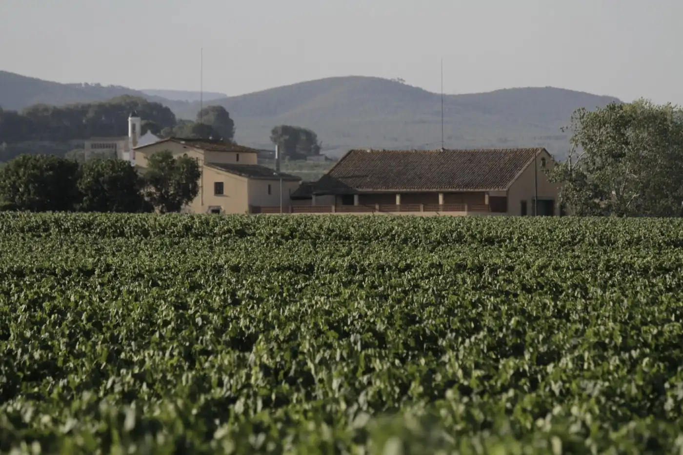 Casa rustica in vendita a Castellet i la Gornal, imagen 2