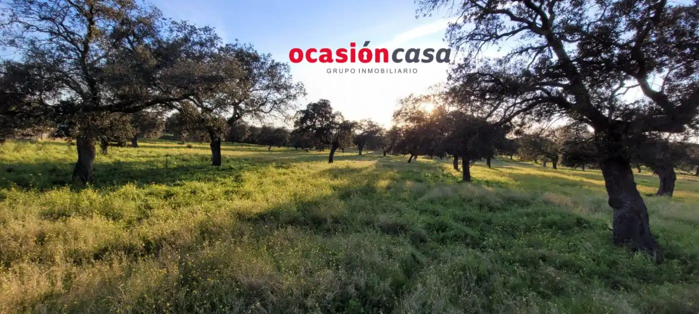 Casa rústica en venda a Pozoblanco, imagen 3