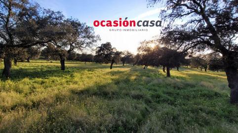 Foto 3 de Finca rústica en venda a Pozoblanco, Córdoba