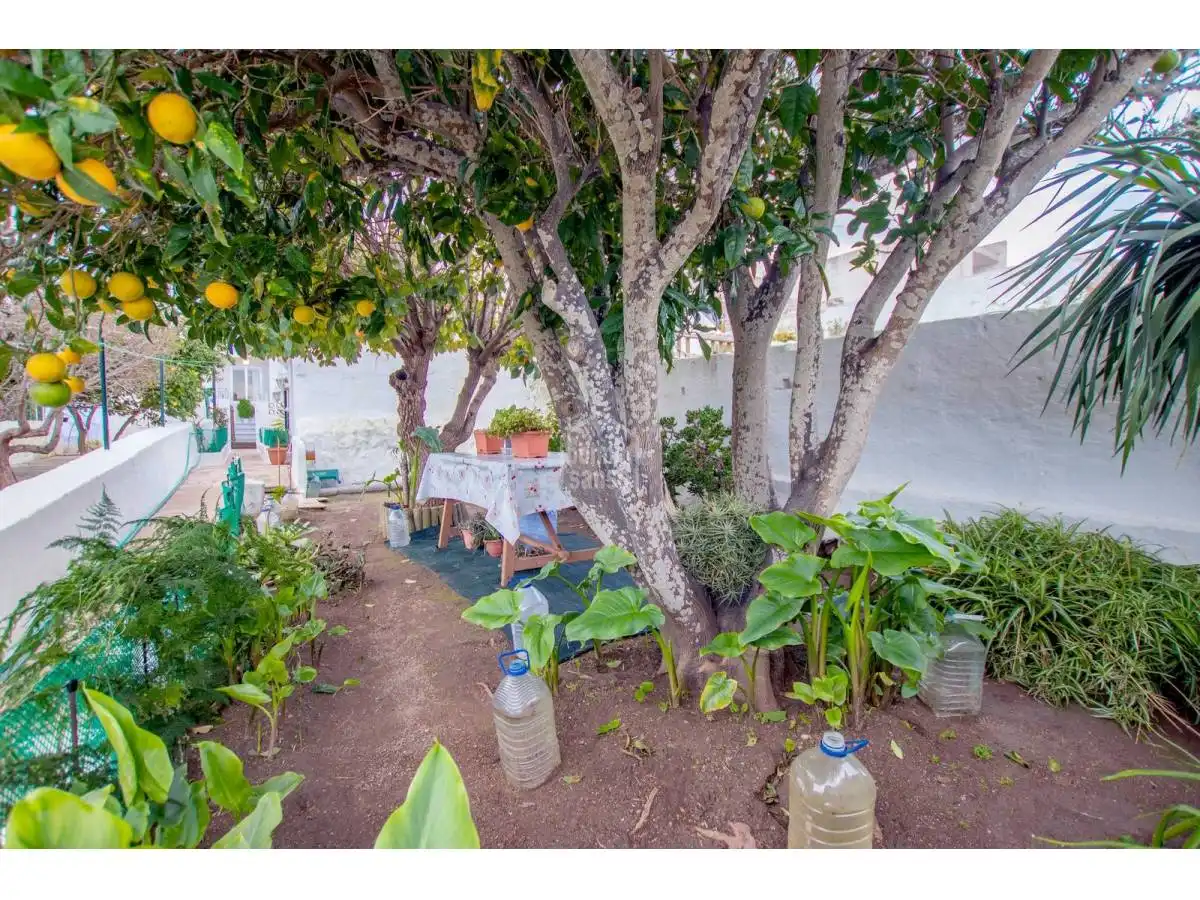 Jardí de Apartament en venda en Maó - Mahón amb Jardí privat i Terrassa