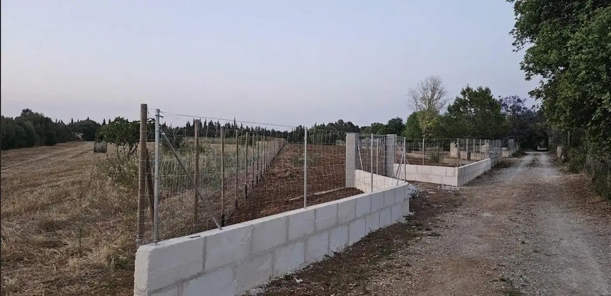 Rustikales Grundstück zum Verkauf in Llubí, imagen 7
