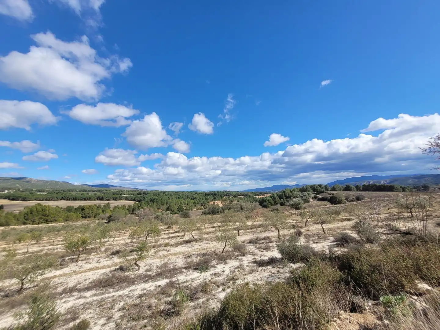 Land for sale in Ontinyent