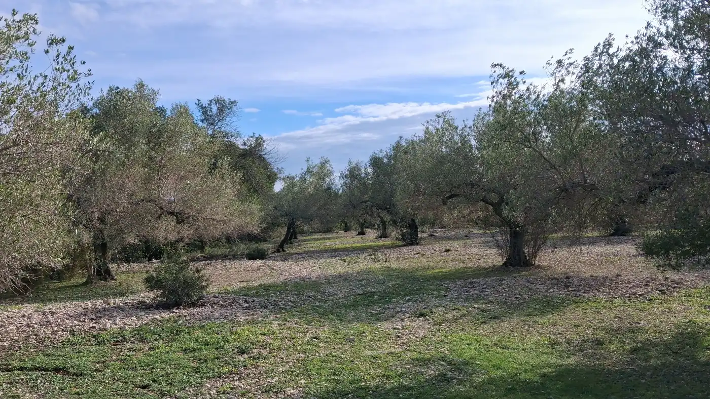 Finca rústica en venta en L'Ampolla