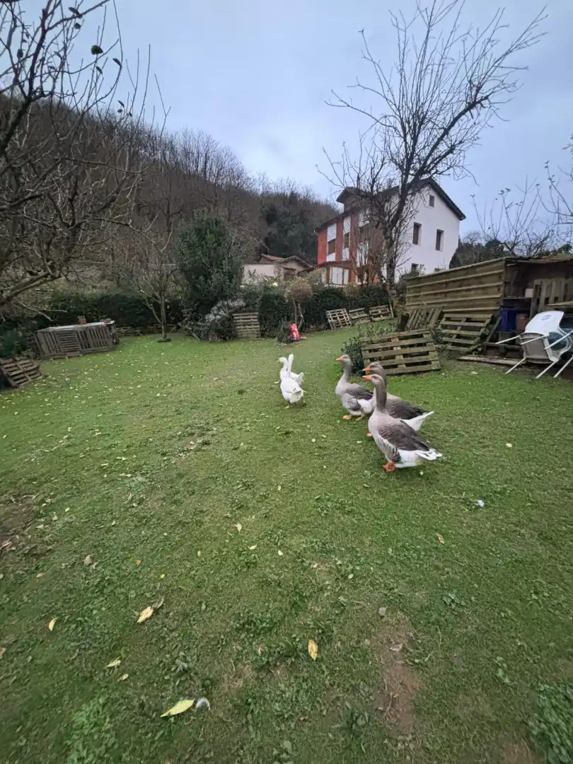 Garden of Flat for sale in Langreo  with Private garden, Storage room and Furnished