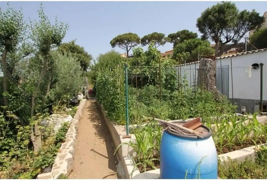 Garden of Country homes for sale in Maçanet de la Selva  with Air Conditioner, Heating and Private garden