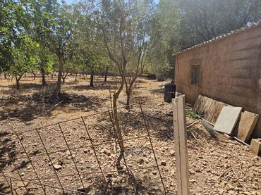 Rural land for sale in Manacor Centre