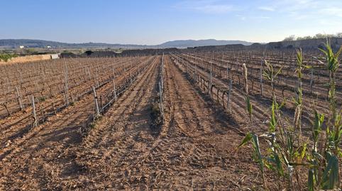 Photo 2 of Residential for sale in Hort de Papiol, Rodonyà, Tarragona