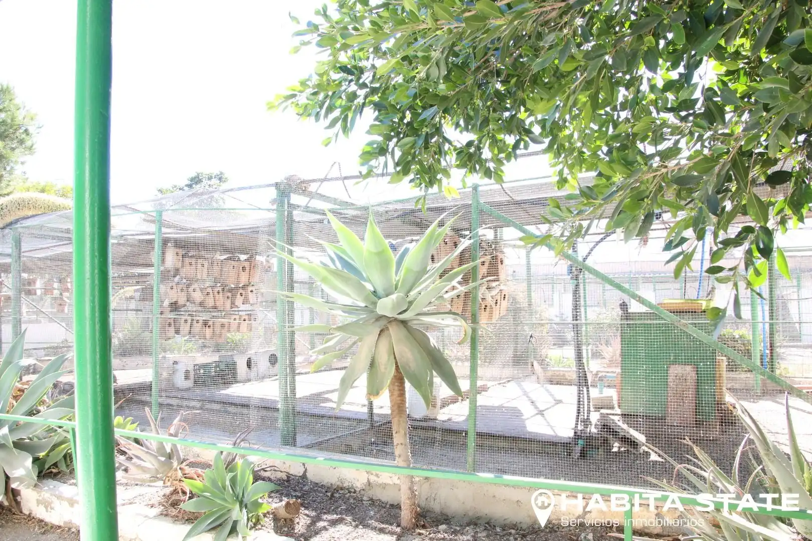 Garden of Residential for sale in Pechina