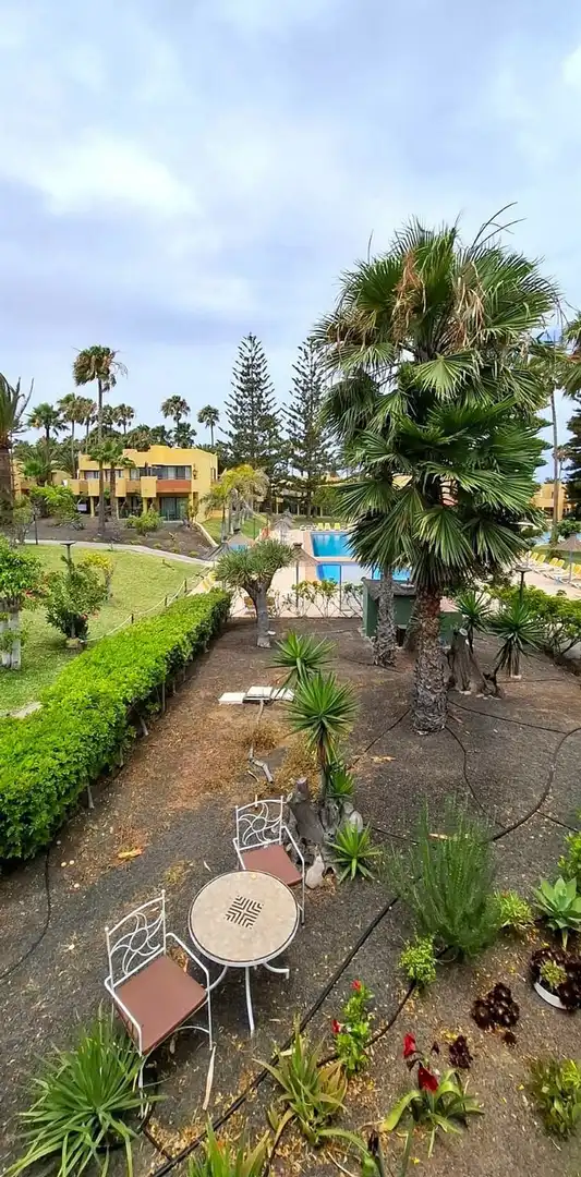 Piscina de Apartamento en venta en La Oliva con Aire acondicionado, Terraza y Alarma