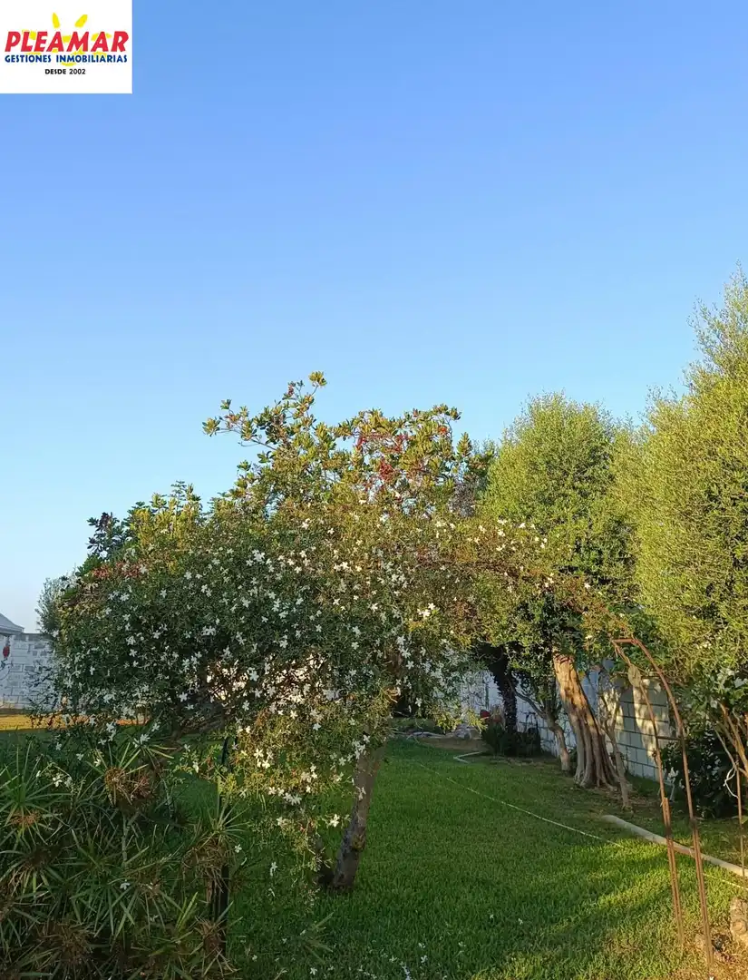 Casa rustica in vendita a Las Tres Piedras - Costa Ballena, imagen 14
