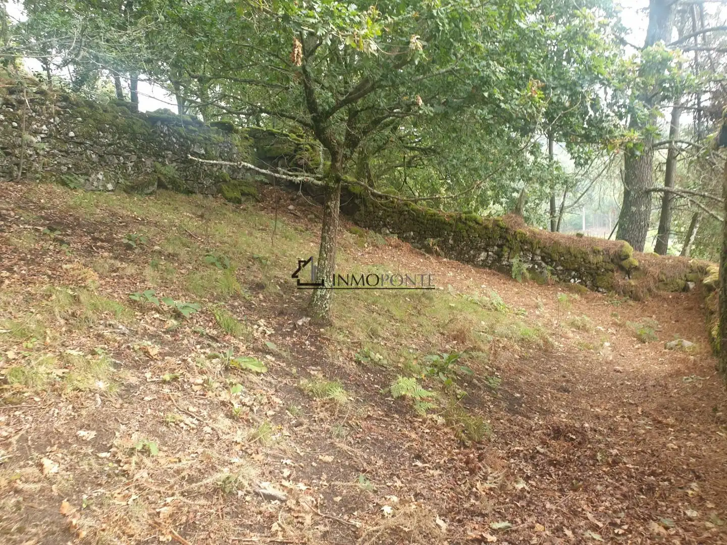 Casa o chalet en venta en Campo Lameiro con Jardín privado