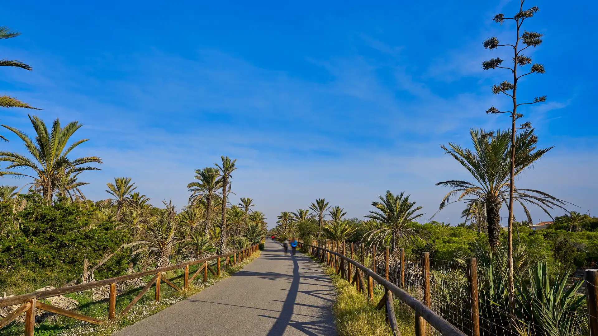 Vista exterior de Planta baja en venta en Guardamar del Segura