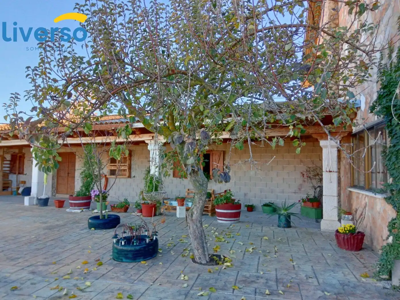 Jardín de Casa o chalet en venta en Mambrilla de Castrejón con Calefacción, Jardín privado y Trastero