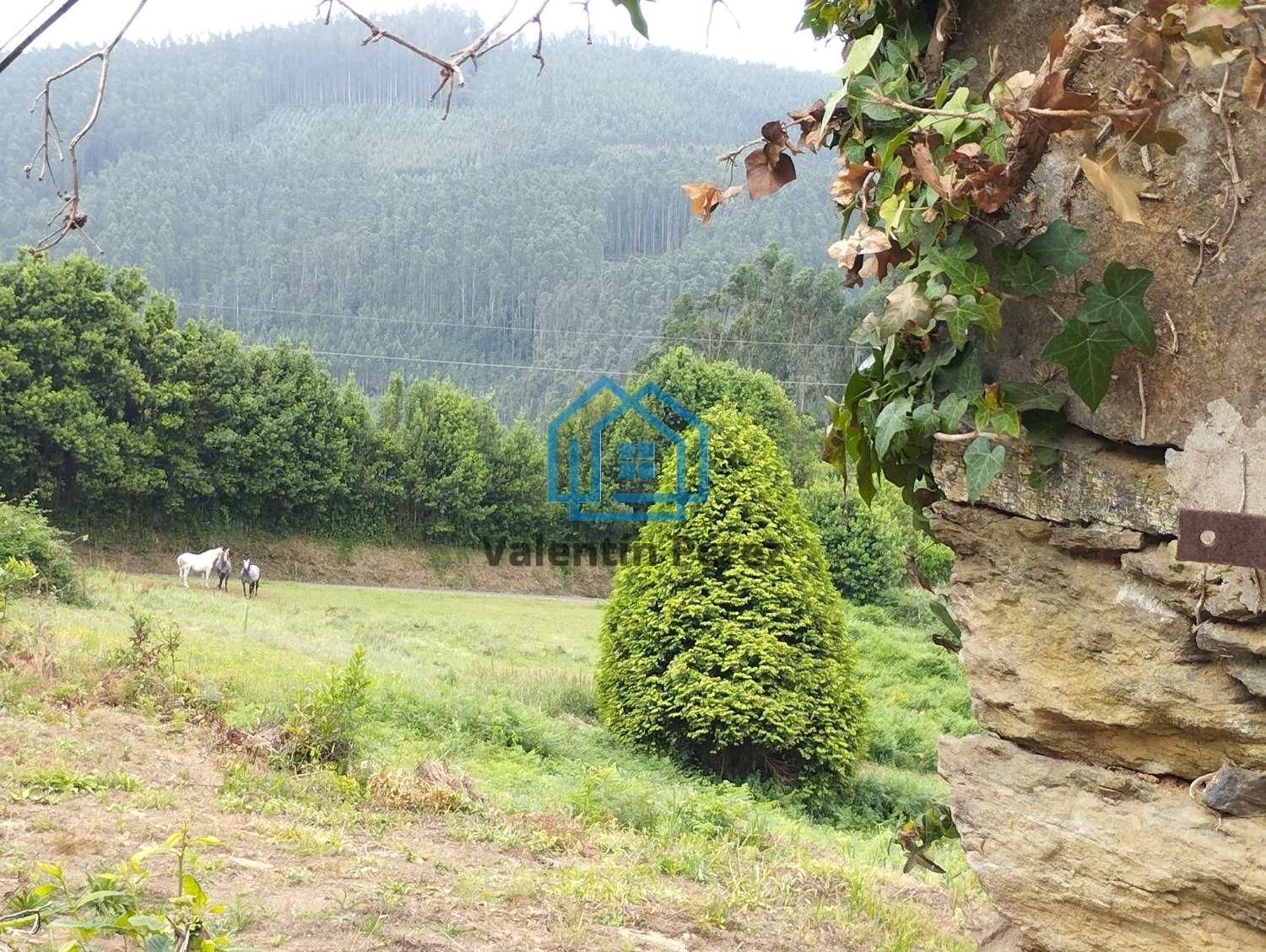 House or chalet for sale in Cerdido