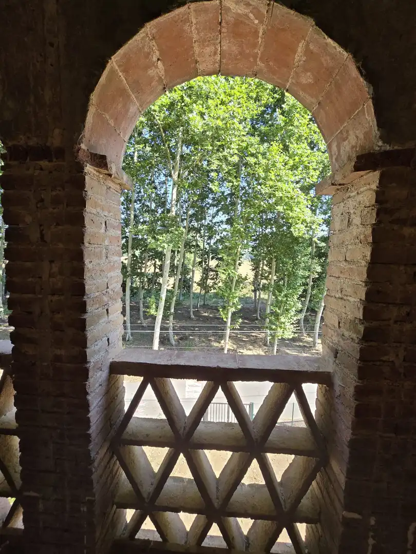 Casa rustica in vendita a Sant Gregori, imagen 24