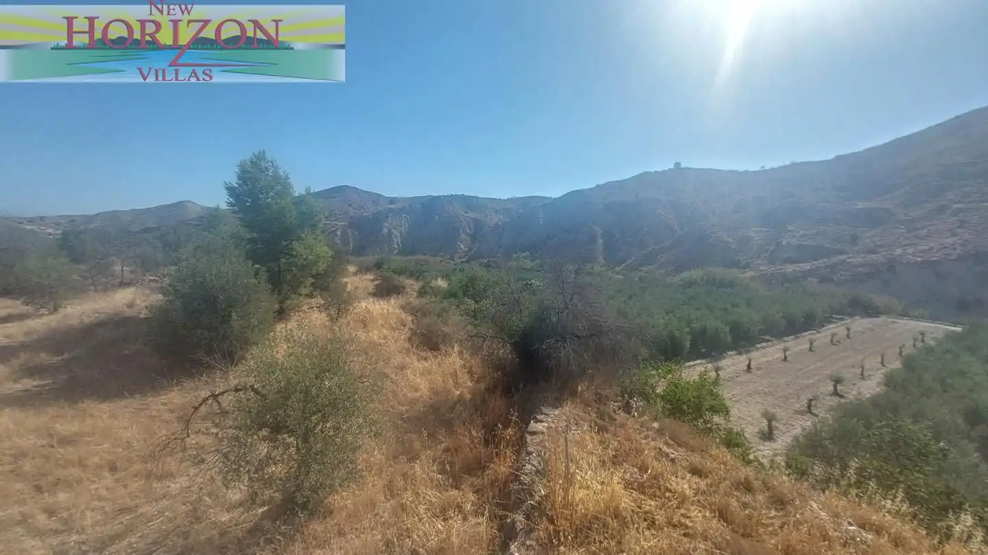 Country homes for sale in Arboleas  with Terrace