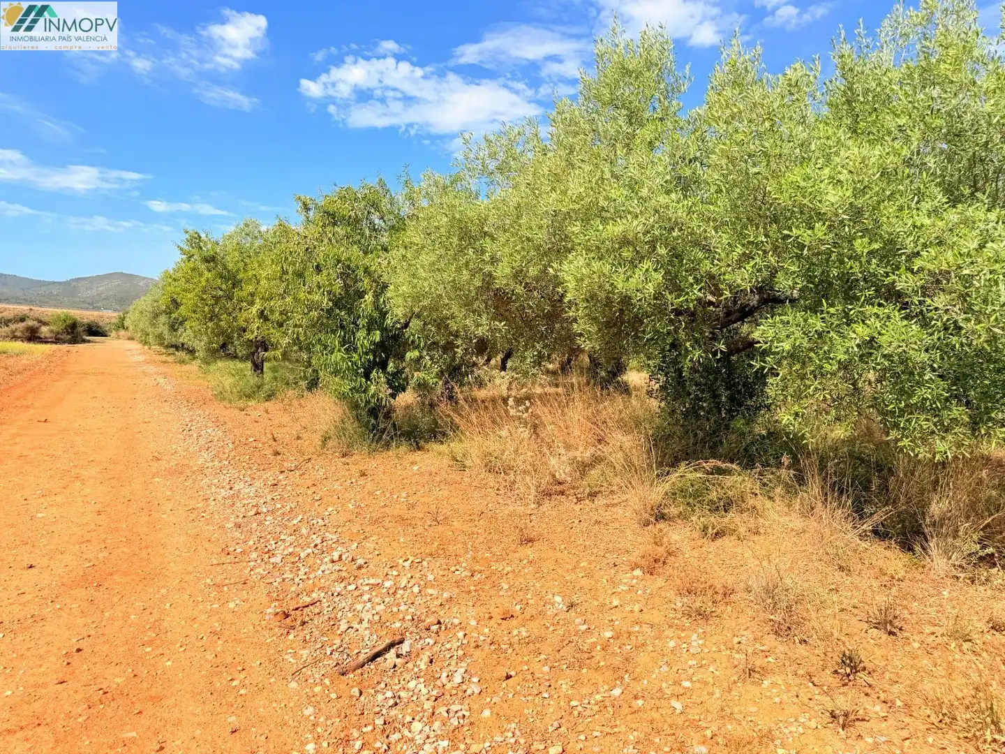 Terreny rústic en venda a Las Atalayas - Urmi - Cerro de Mar, imagen 14