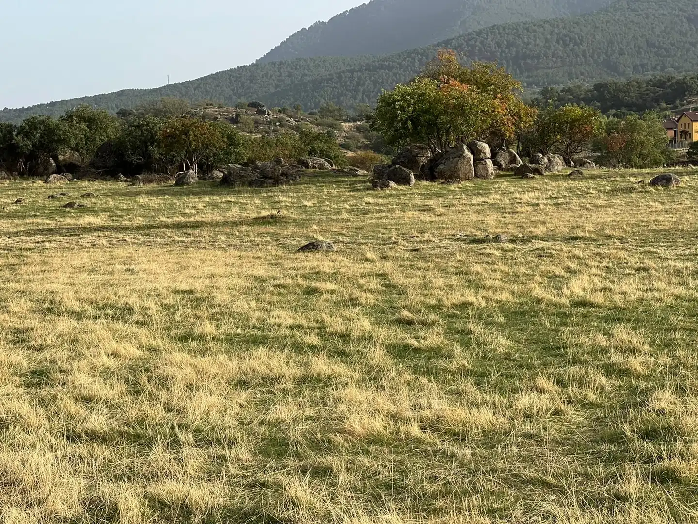 Terreni e lotti in vendita a El Tiemblo, imagen 17