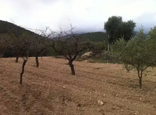 Land for sale in Casa Baldes (Polígono 8, Parcela), -1, Relleu