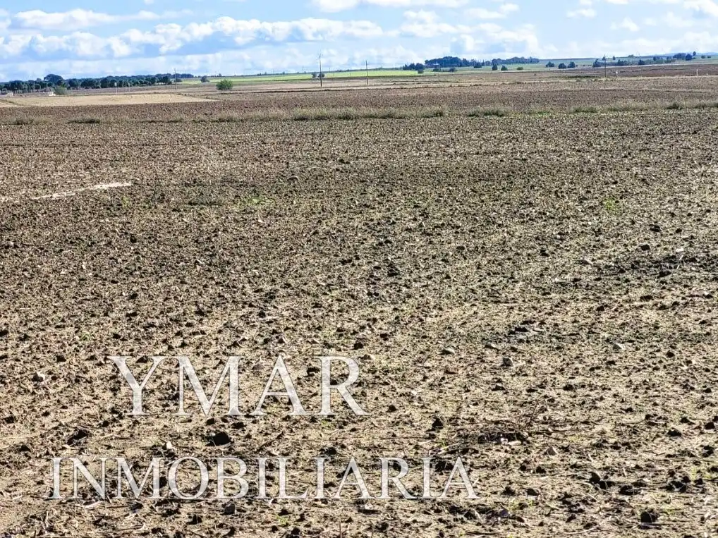 Rural land for sale in Santo Domingo-Caudilla, imagen 6